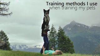 School Project | Training methods I use when training my pets [Dutch]