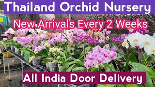 @GeorgeTheIndianFarmer Eden Gardens Orchid Nursery, Ollur, Thrissur, Kerala. ഓർക്കിഡ് നഴ്സറി.