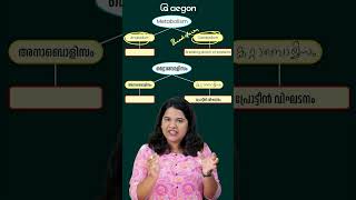 Metabolism ( മെറ്റാബോളിസം) | CLASS 9 - BIOLOGY | AEGON LEARNING #onamexam2024 #class9biology