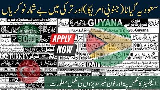 Guyana (South America) work permit | Most demanding jobs in Saudi Arabia | Turkey work permits