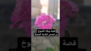 #سوالف_طريق #قصص_واقعية #قصص #القصة_الاخيرة #قصص_غامضة