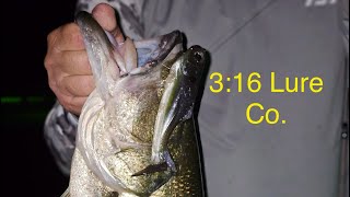 3:16 Lure Co.: A Swimbait Masterclass From Origin To Livescope Techniques