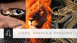 Lions, Snakes & Dragons (2021)