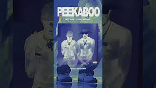 Big Baby Tape & Aarne - PEEKABOO