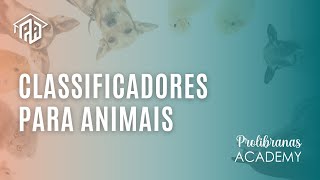 Classificadores de Animais -  Exemplos