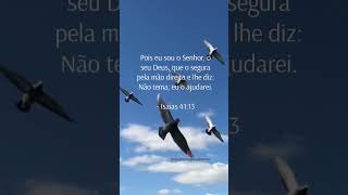 #louvor #louvores #status #gospel #adoração #deus #videostatus #fé #fernandinho #gabrielarocha #amor