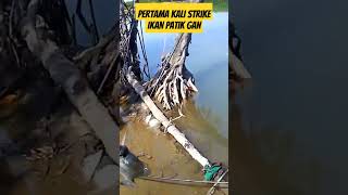 Ternyata disini ada ikan patiknya gan.