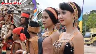 Lagu Dayak - DJ Pantun Gawai|| Abraham Ndoloe