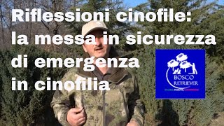 Riflessioni cinofile: la messa in sicurezza di emergenza in cinofilia