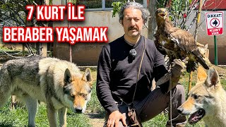 KURT SÜRÜSÜYLE BERABER YAŞAYAN ADAM | SİVAS