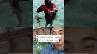 Ternyata ikan hiu bukan ikan lumba-lumba di prank #challenge #lucu #ikan #funny #prank