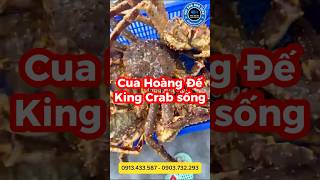 Cua Hoàng Đế King Crab Alaska sống giao sống tận nơi #cuahoàngđế #cuahoangde #cuakingcrab #cuaalaska