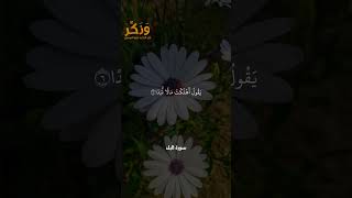 سورة البلد الآيات من 1 إلى 9 بصوت القارئ سعد الغامدي #حالات  #quran #قرآن  #shorts