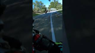 Ducati Streetfighter V2 Chasing Aprilia RSV4 Factory 🐝