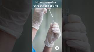 How To Swab a Throat for Testing | Merck Manual Professional Version