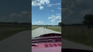 1979 Trans Am on a country road in Bavaria