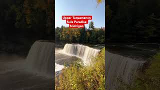 Taquamenon falls upper michigan #falls #shortvideo #shortsfeed #short #shorts #michigan #travel #fyp