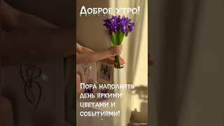 VM Video 1682667450285 1080HD