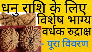 धनु राशि के लिए विशेष लाभदायक रुद्राक्ष - पूरी जानकारी