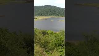 Pappanaickenpatti dam