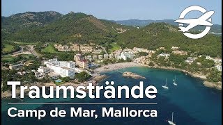 Camp de Mar ☀️ Die schönsten Strände auf Mallorca ☀️