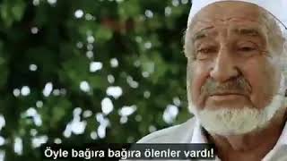 “Ot otladık ot, mal gibi! Mal, mal otluyor ya, otluyorduk öyle. Allah da gün verdi ölmedik!”