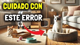 ¿Te vas de VACACIONES y no sabes dónde DEJAR A TU GATO?