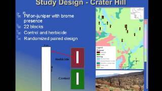 Post-Fire Restoration to Battle Cheatgrass in Zion National Park