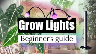 Grow Lights - Simple Beginner's Guide - Guide To Grow Lights For Houseplants  - How and When To Use