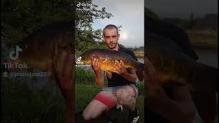 All caught last year 👌👀 Wyreside lakes weekend 👀💪💯         #fishing #fish #trending #viral #clips