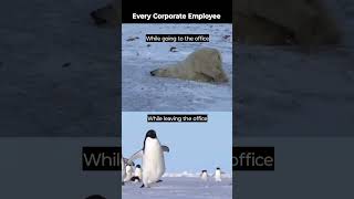 Corporate life meme | funny corporate employee life | corporate skit funny