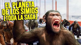 LOS SIMIOS ENTRAN EN GUERRA PARA CONTROLAR EL PLANETA | Resumen Saga EL PLANETA DE LOS SIMIOS