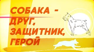 Собака-друг, защитник, герой