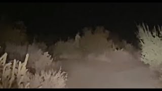 FAMILY RECORDS ONE OF THE MOST SCARIEST FOOTAGE EVER CAPTURED ON CAMERA!!