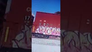 Trains in Clemson, SC (08/19/2014)