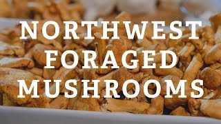 In The Kitchen: Foraged Mushrooms