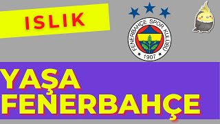 YAŞA FENERBAHÇE MARŞI 1 SAAT - ISLIKLA PAPAĞAN ŞARKILARI