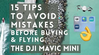 15 Tips to avoid mistakes before buying and flying the DJI Mavic Mini