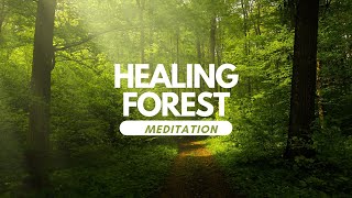 Meditation: HEALING FOREST  | Mindful Relaxing Music Therapy