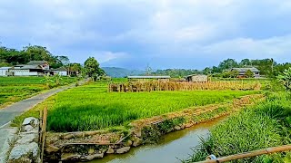 Desa Yang Tidak Kenal Musim Kemarau, Indah Dan Super Asri Di Kaki Gunung Lawu Bikin Iri Semua Orang