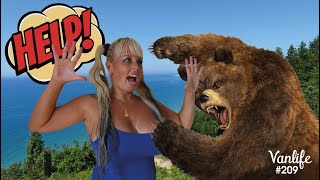 VANLIFE #209 - Close encounter with a BEAR ?!