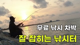 무료 낚시 차박! 잘 잡히는 무료 낚시터! feat 낚시 캠핑카