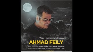 ahmad feily