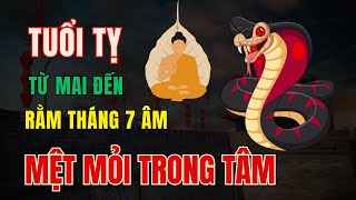 Tử vi Tuổi Tỵ, Từ Mai đến rằm tháng 7 Âm lịch. Đừng bỏ cuộc cho dù có buồn phiền, mệt mỏi trong tâm