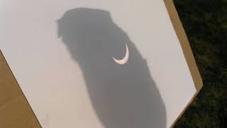 Viewing the solar eclipse, Aug 21, 2017, Cleveland, Ohio.