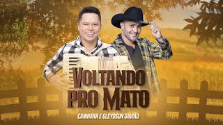 Caninana e Gleydson Gavião - Voltando pro Mato (Clipe Oficial)