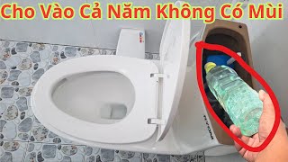 Cho Thứ Này Vào Bồn Cầu Thơm Cả Năm. Cách Làm Cho Bồn Cầu Luôn Thơm Quanh Năm Đơn Giản Ít Tốn Kém