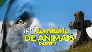 O cemitério de animais nos Estados Unidos parte 1