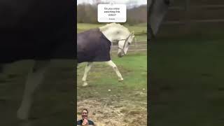 Hilarious Prank Gone Wrong: Animal Reaction Will Leave You in Stitches! 😂 #Funny #Viral #Shorts