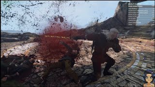 My Best Brutal Blood Demo yet [The Witcher 3: Wild Hunt]